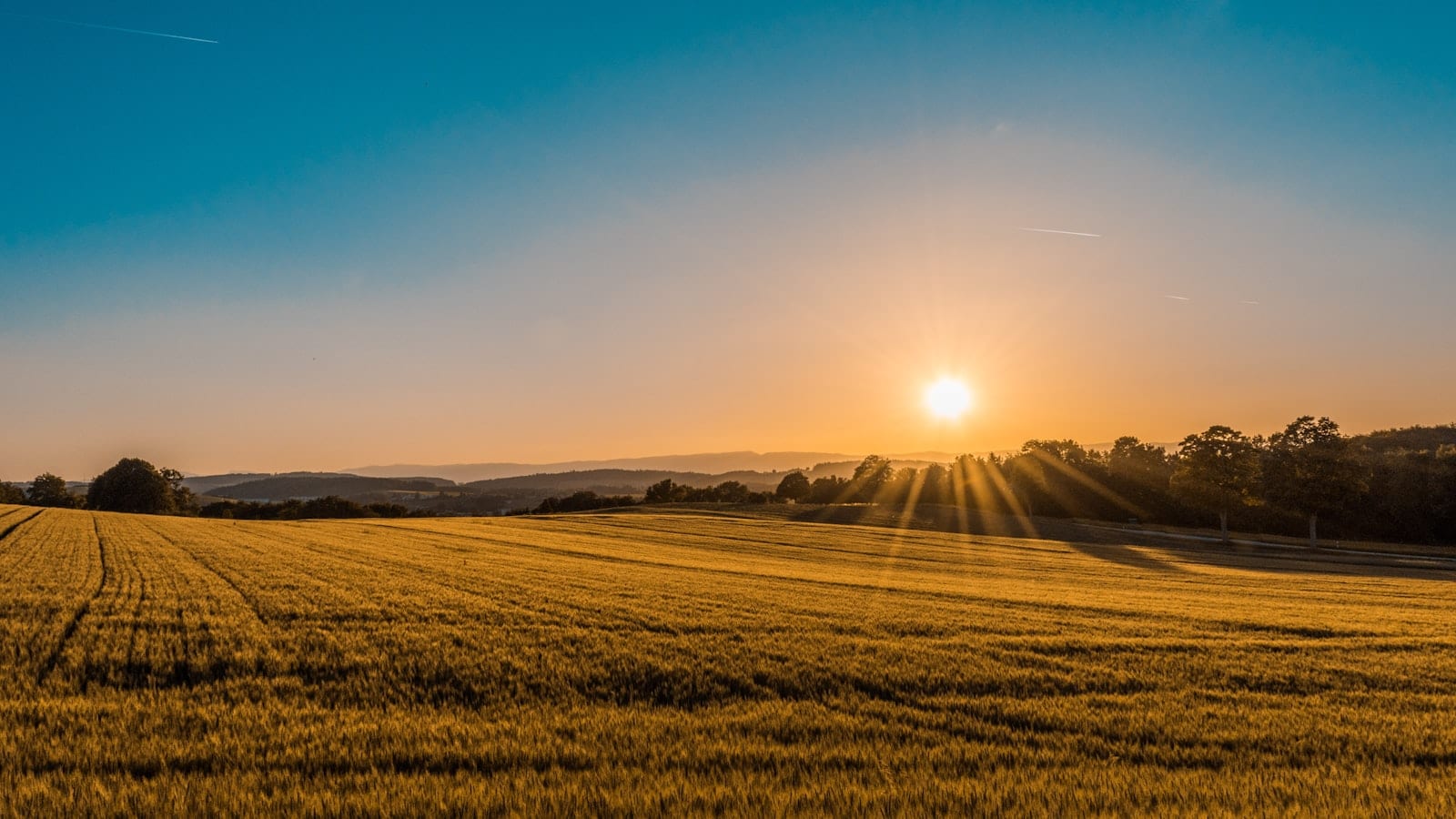Golden farmland at sunset across the Scenic Rim